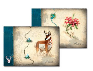 discoveries_cartes