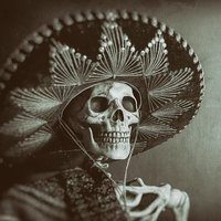 Avatar du membre